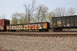 GONX 310382